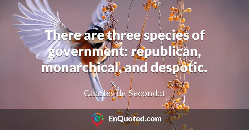 There are three species of government: republican, monarchical, and despotic.
