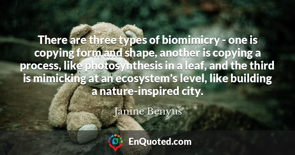 There are three types of biomimicry - one is copying form and shape, another is copying a process, like photosynthesis in a leaf, and the third is mimicking at an ecosystem's level, like building a nature-inspired city.