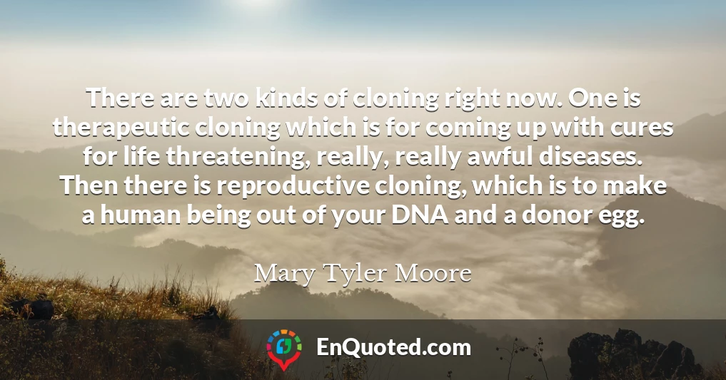 There are two kinds of cloning right now. One is therapeutic cloning which is for coming up with cures for life threatening, really, really awful diseases. Then there is reproductive cloning, which is to make a human being out of your DNA and a donor egg.