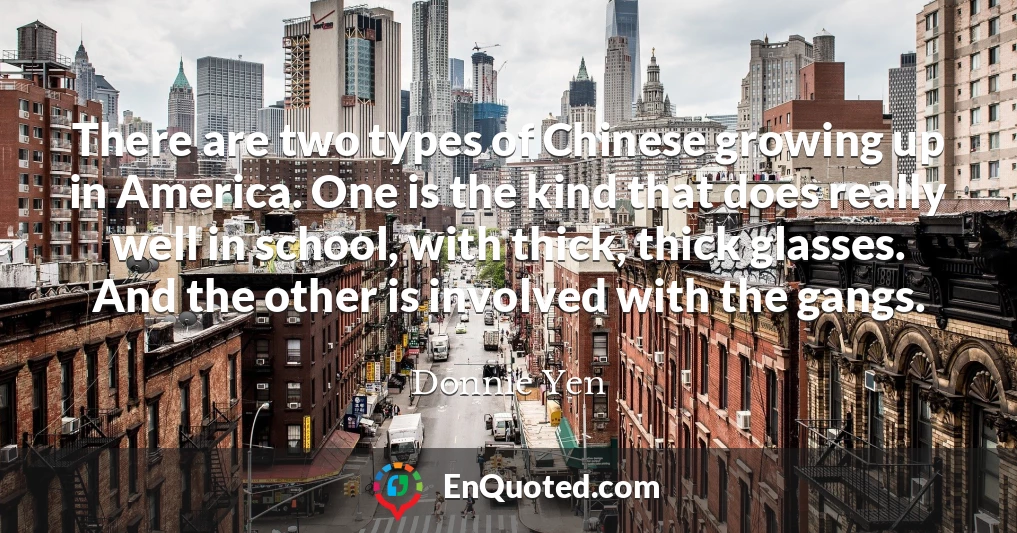 There are two types of Chinese growing up in America. One is the kind that does really well in school, with thick, thick glasses. And the other is involved with the gangs.