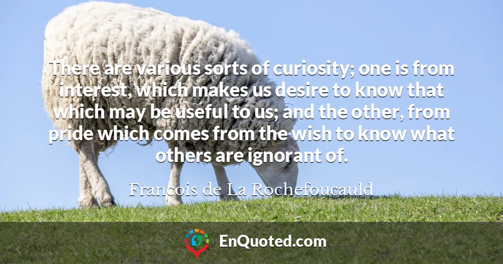 There are various sorts of curiosity; one is from interest, which makes us desire to know that which may be useful to us; and the other, from pride which comes from the wish to know what others are ignorant of.