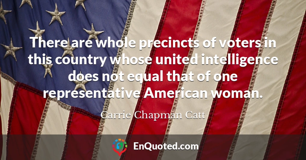 There are whole precincts of voters in this country whose united intelligence does not equal that of one representative American woman.