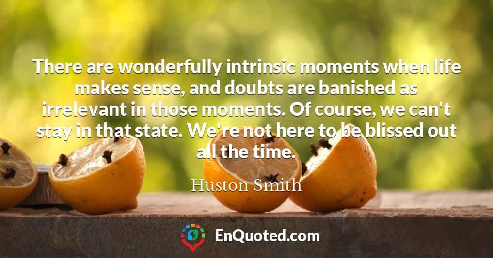 There are wonderfully intrinsic moments when life makes sense, and doubts are banished as irrelevant in those moments. Of course, we can't stay in that state. We're not here to be blissed out all the time.