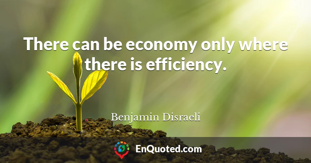 There can be economy only where there is efficiency.