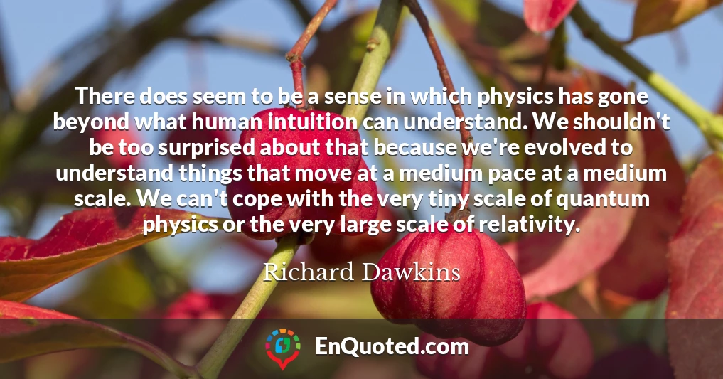 There does seem to be a sense in which physics has gone beyond what human intuition can understand. We shouldn't be too surprised about that because we're evolved to understand things that move at a medium pace at a medium scale. We can't cope with the very tiny scale of quantum physics or the very large scale of relativity.