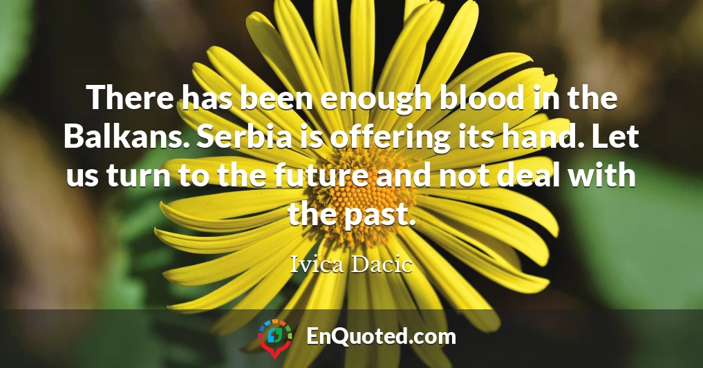 There has been enough blood in the Balkans. Serbia is offering its hand. Let us turn to the future and not deal with the past.