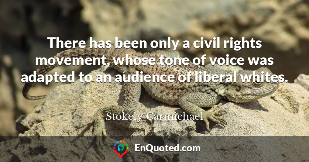 There has been only a civil rights movement, whose tone of voice was adapted to an audience of liberal whites.