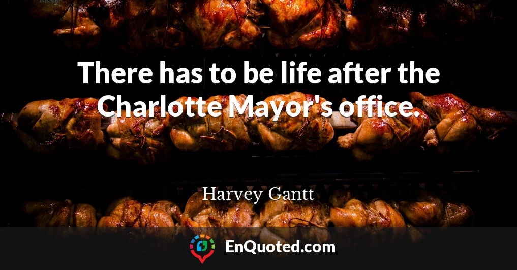 There has to be life after the Charlotte Mayor's office.