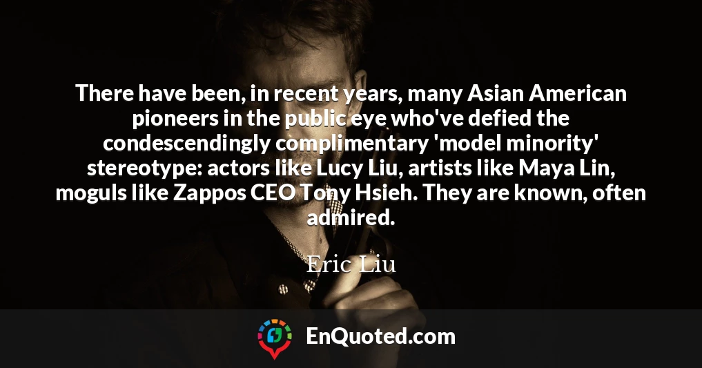 There have been, in recent years, many Asian American pioneers in the public eye who've defied the condescendingly complimentary 'model minority' stereotype: actors like Lucy Liu, artists like Maya Lin, moguls like Zappos CEO Tony Hsieh. They are known, often admired.