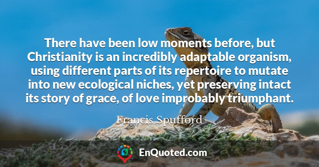 There have been low moments before, but Christianity is an incredibly adaptable organism, using different parts of its repertoire to mutate into new ecological niches, yet preserving intact its story of grace, of love improbably triumphant.