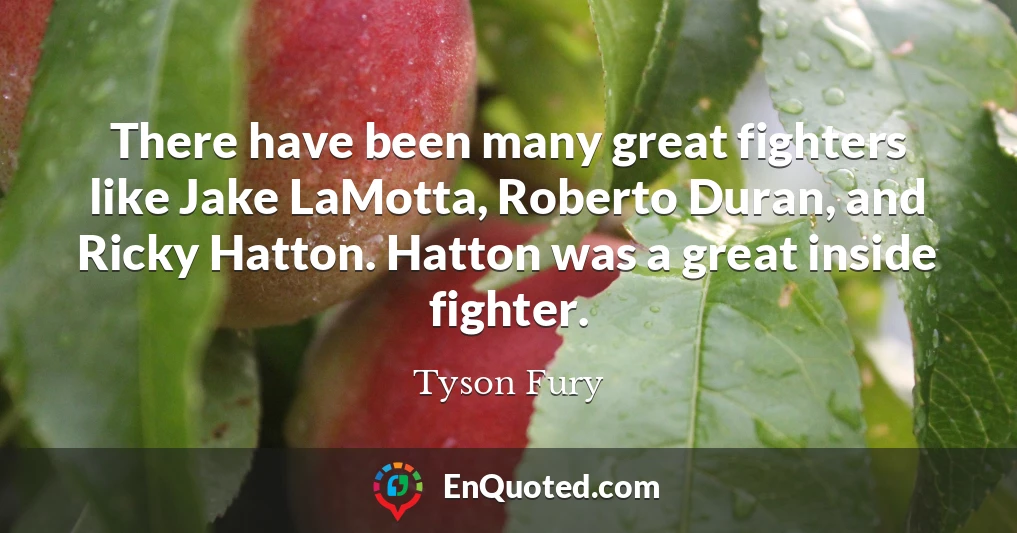 There have been many great fighters like Jake LaMotta, Roberto Duran, and Ricky Hatton. Hatton was a great inside fighter.
