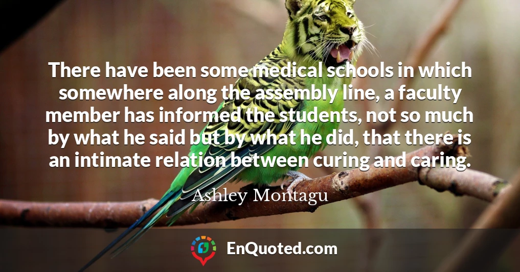 There have been some medical schools in which somewhere along the assembly line, a faculty member has informed the students, not so much by what he said but by what he did, that there is an intimate relation between curing and caring.