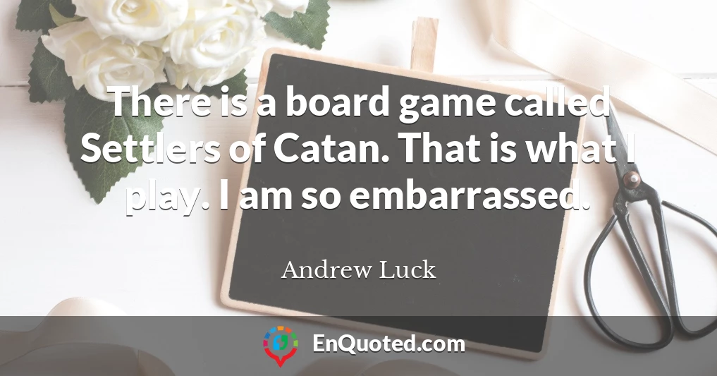 There is a board game called Settlers of Catan. That is what I play. I am so embarrassed.