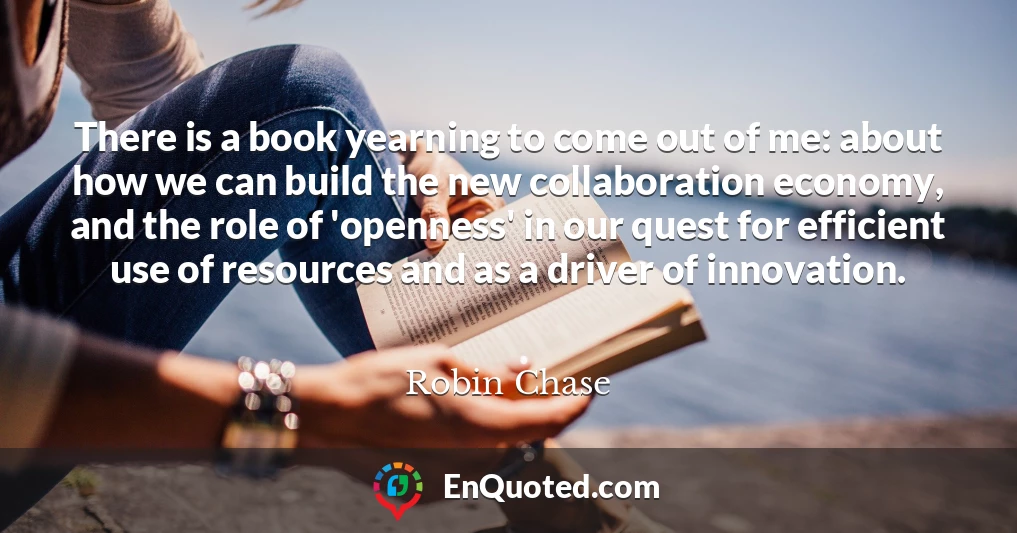 There is a book yearning to come out of me: about how we can build the new collaboration economy, and the role of 'openness' in our quest for efficient use of resources and as a driver of innovation.