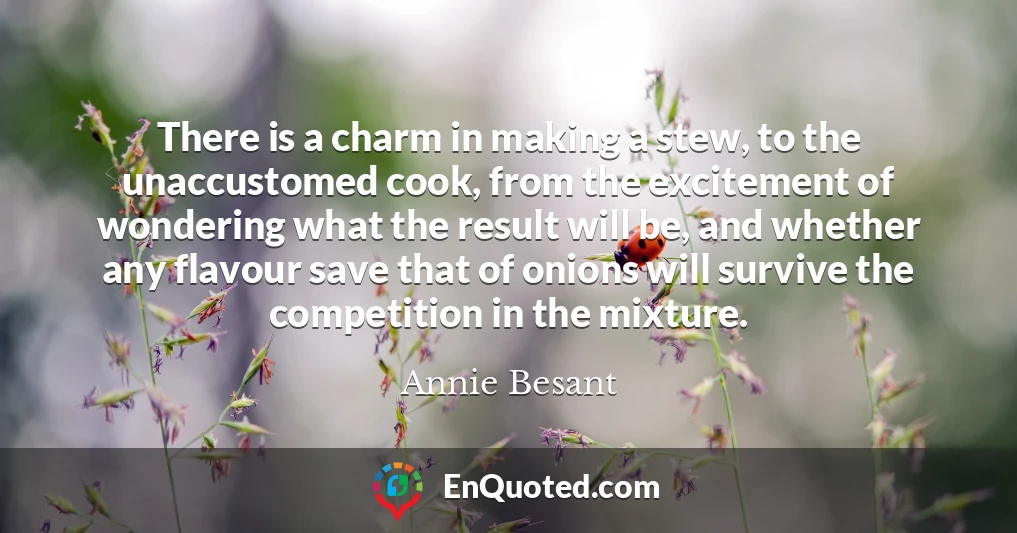 There is a charm in making a stew, to the unaccustomed cook, from the excitement of wondering what the result will be, and whether any flavour save that of onions will survive the competition in the mixture.