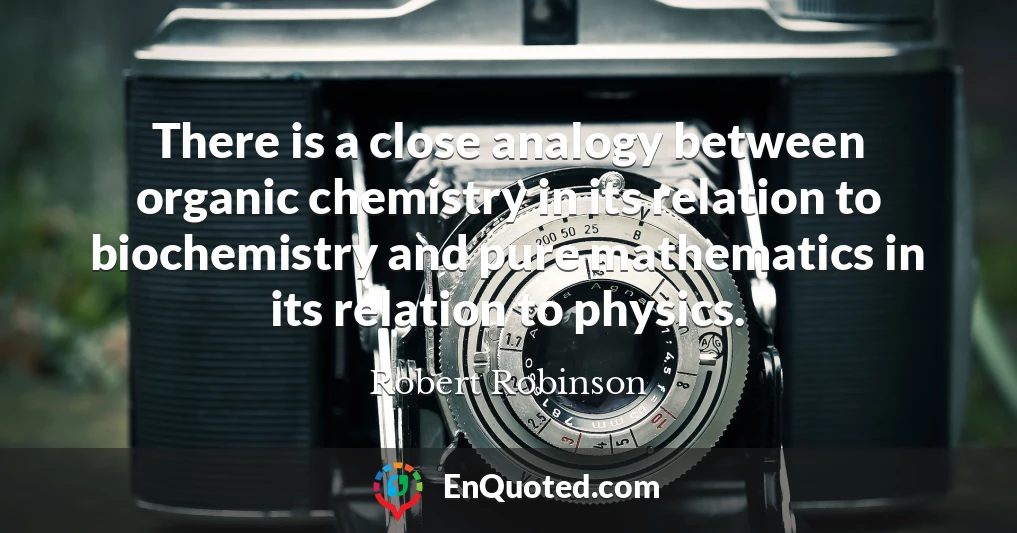 There is a close analogy between organic chemistry in its relation to biochemistry and pure mathematics in its relation to physics.
