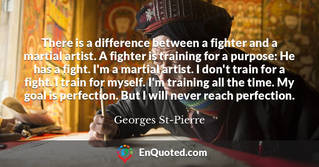 There is a difference between a fighter and a martial artist. A fighter is training for a purpose: He has a fight. I'm a martial artist. I don't train for a fight. I train for myself. I'm training all the time. My goal is perfection. But I will never reach perfection.