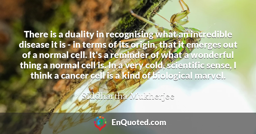 There is a duality in recognising what an incredible disease it is - in terms of its origin, that it emerges out of a normal cell. It's a reminder of what a wonderful thing a normal cell is. In a very cold, scientific sense, I think a cancer cell is a kind of biological marvel.