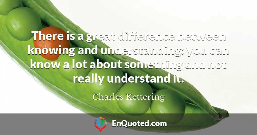 There is a great difference between knowing and understanding: you can know a lot about something and not really understand it.
