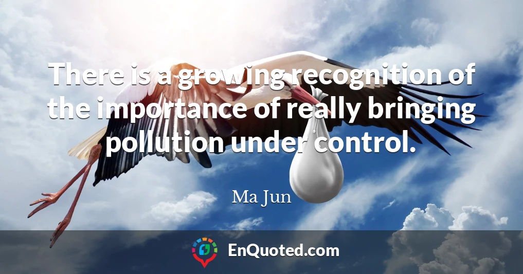 There is a growing recognition of the importance of really bringing pollution under control.