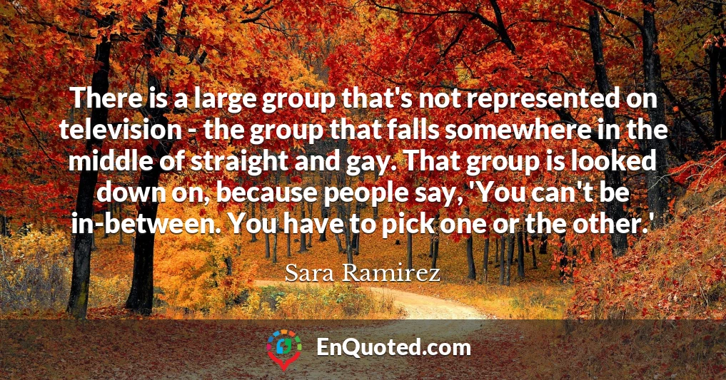 There is a large group that's not represented on television - the group that falls somewhere in the middle of straight and gay. That group is looked down on, because people say, 'You can't be in-between. You have to pick one or the other.'