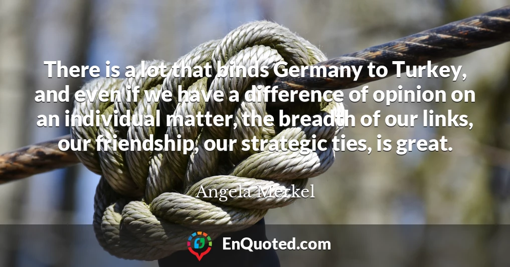There is a lot that binds Germany to Turkey, and even if we have a difference of opinion on an individual matter, the breadth of our links, our friendship, our strategic ties, is great.