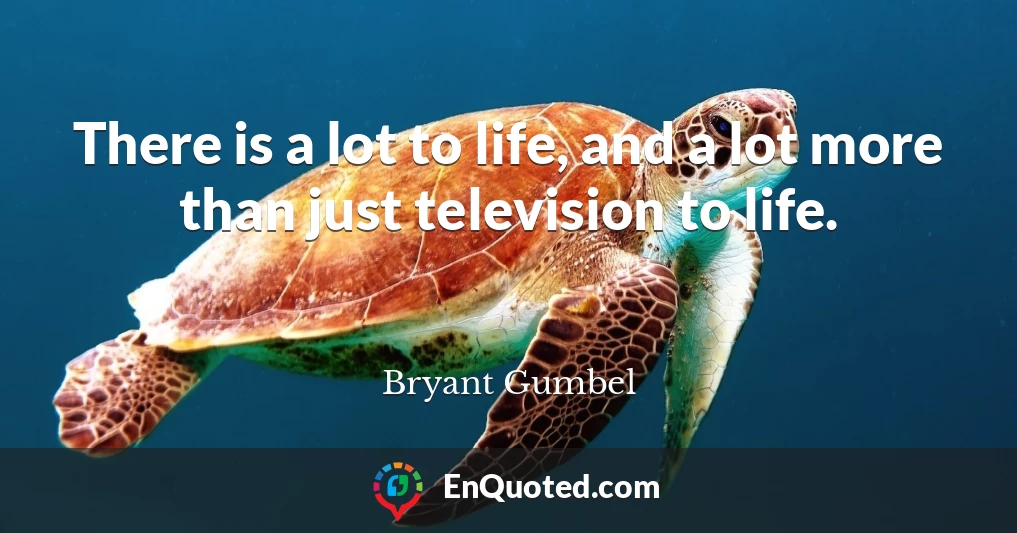 There is a lot to life, and a lot more than just television to life.