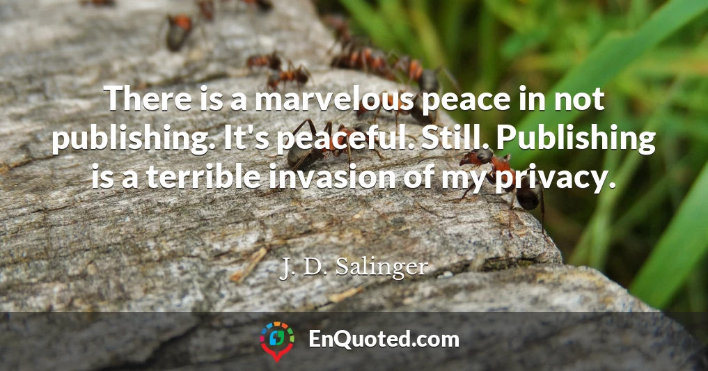 There is a marvelous peace in not publishing. It's peaceful. Still. Publishing is a terrible invasion of my privacy.