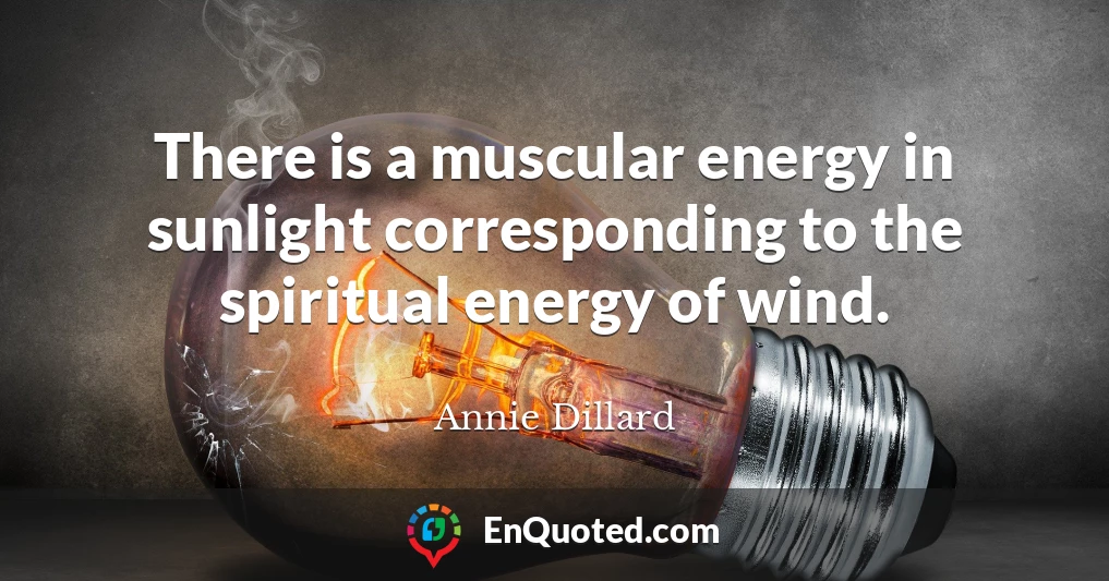 There is a muscular energy in sunlight corresponding to the spiritual energy of wind.