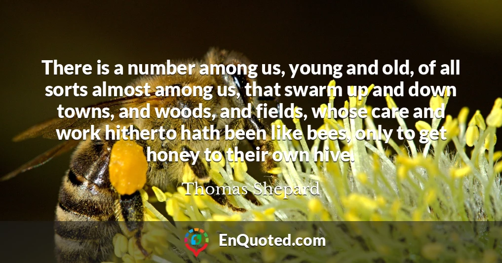 There is a number among us, young and old, of all sorts almost among us, that swarm up and down towns, and woods, and fields, whose care and work hitherto hath been like bees, only to get honey to their own hive.