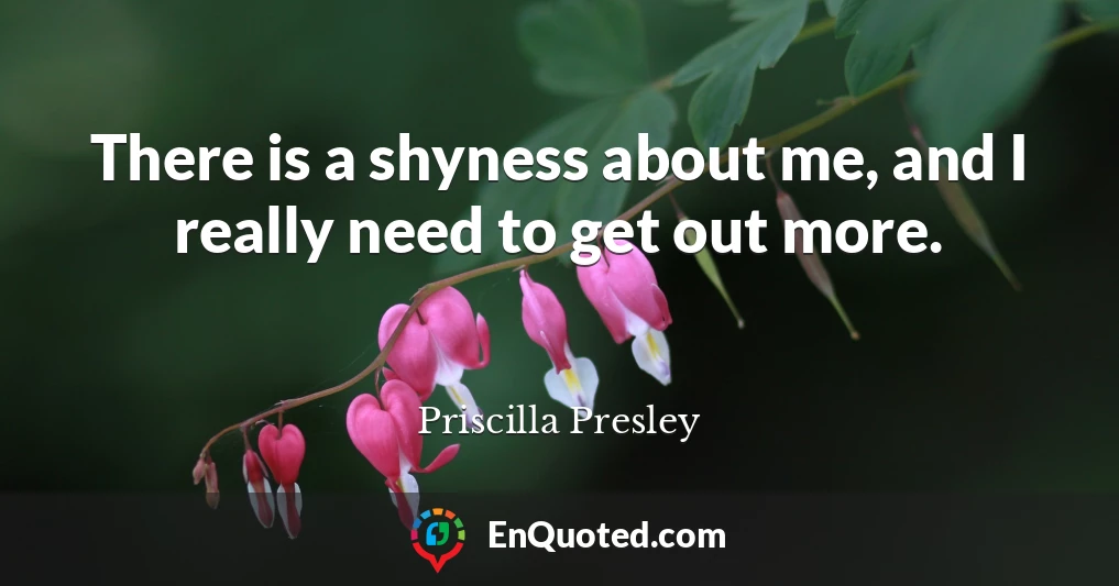 There is a shyness about me, and I really need to get out more.