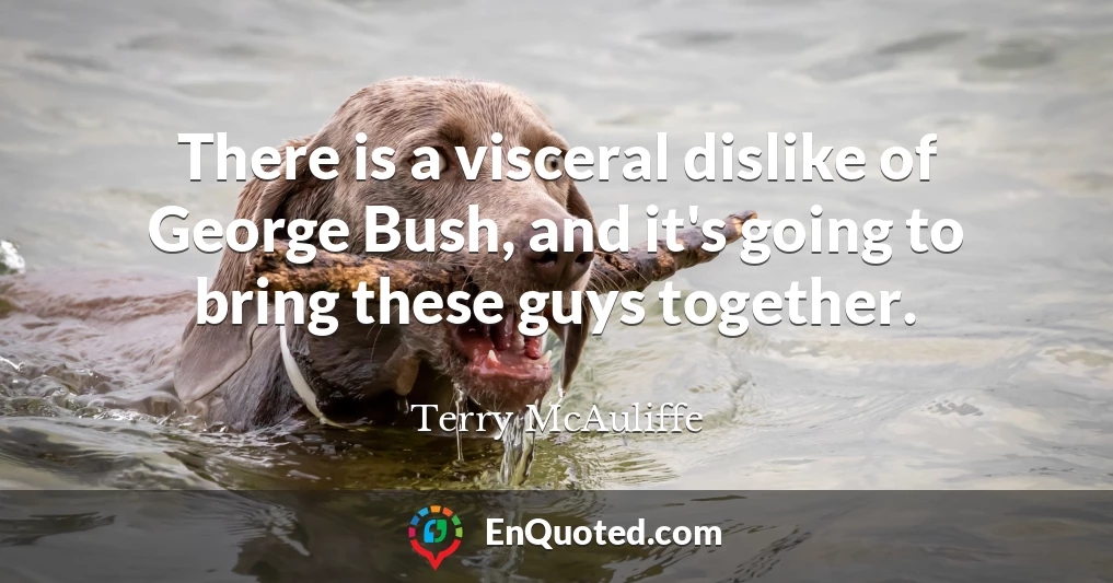 There is a visceral dislike of George Bush, and it's going to bring these guys together.