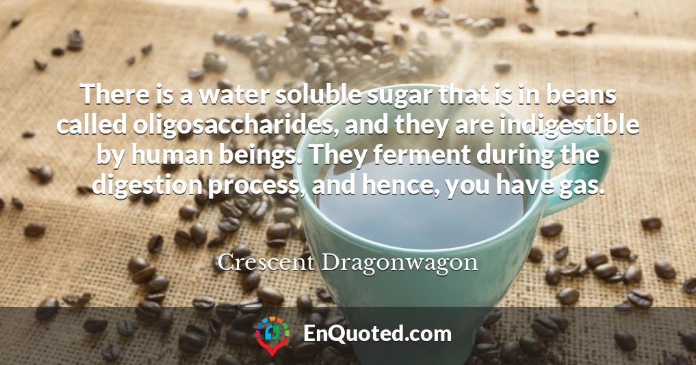 There is a water soluble sugar that is in beans called oligosaccharides, and they are indigestible by human beings. They ferment during the digestion process, and hence, you have gas.