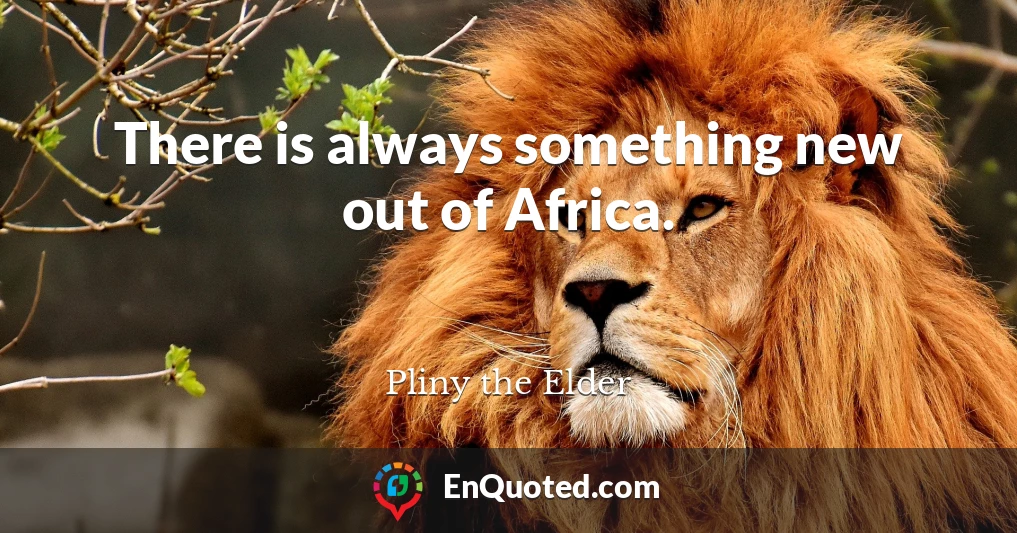 There is always something new out of Africa.