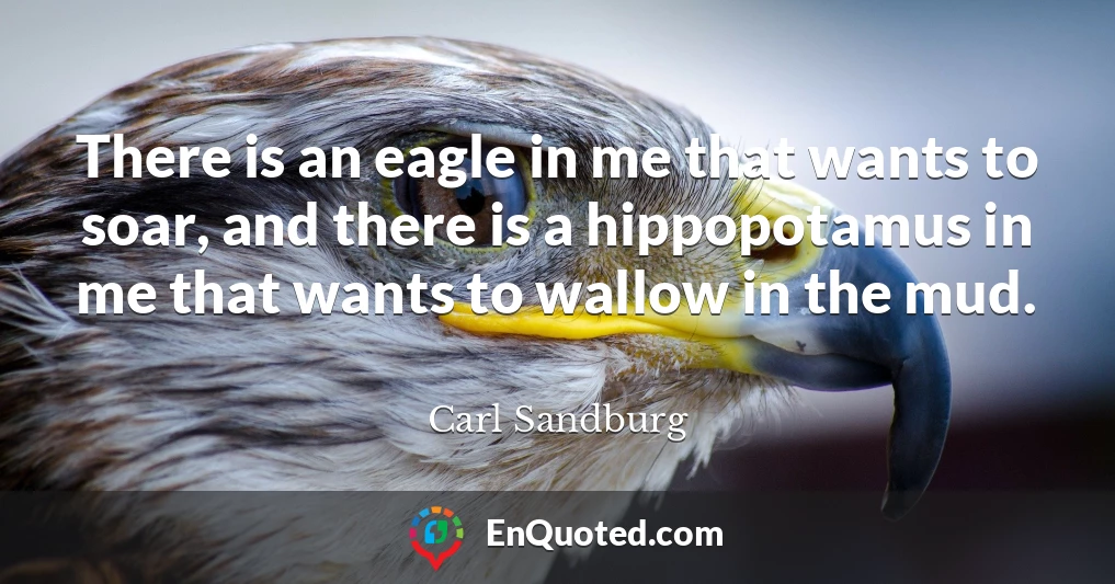There is an eagle in me that wants to soar, and there is a hippopotamus in me that wants to wallow in the mud.