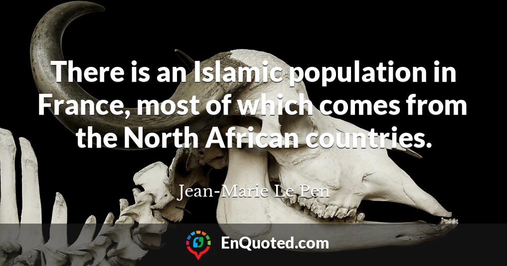 There is an Islamic population in France, most of which comes from the North African countries.