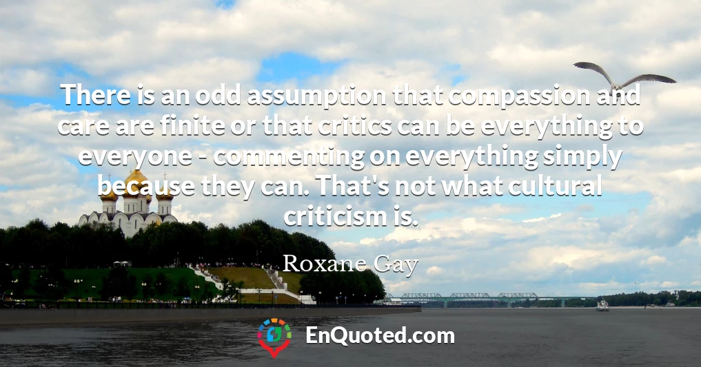 There is an odd assumption that compassion and care are finite or that critics can be everything to everyone - commenting on everything simply because they can. That's not what cultural criticism is.