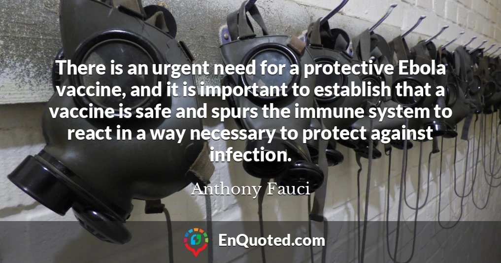 There is an urgent need for a protective Ebola vaccine, and it is important to establish that a vaccine is safe and spurs the immune system to react in a way necessary to protect against infection.