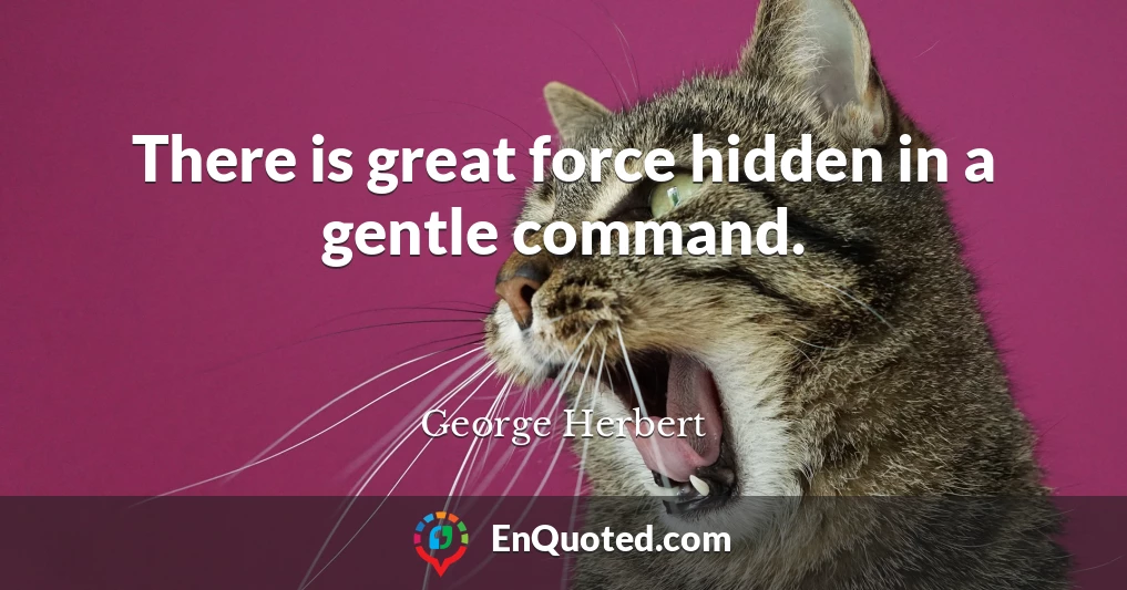 There is great force hidden in a gentle command.