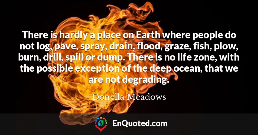 There is hardly a place on Earth where people do not log, pave, spray, drain, flood, graze, fish, plow, burn, drill, spill or dump. There is no life zone, with the possible exception of the deep ocean, that we are not degrading.