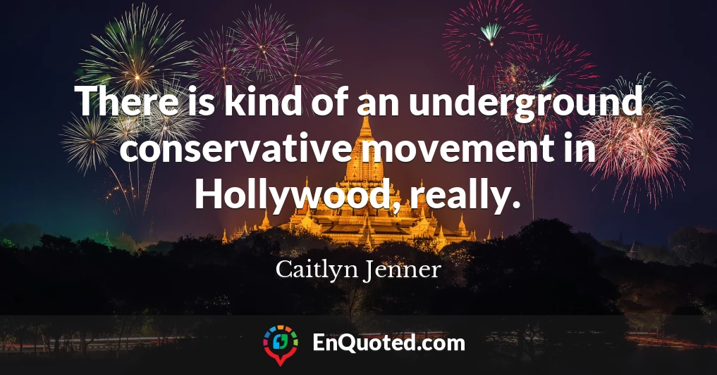 There is kind of an underground conservative movement in Hollywood, really.