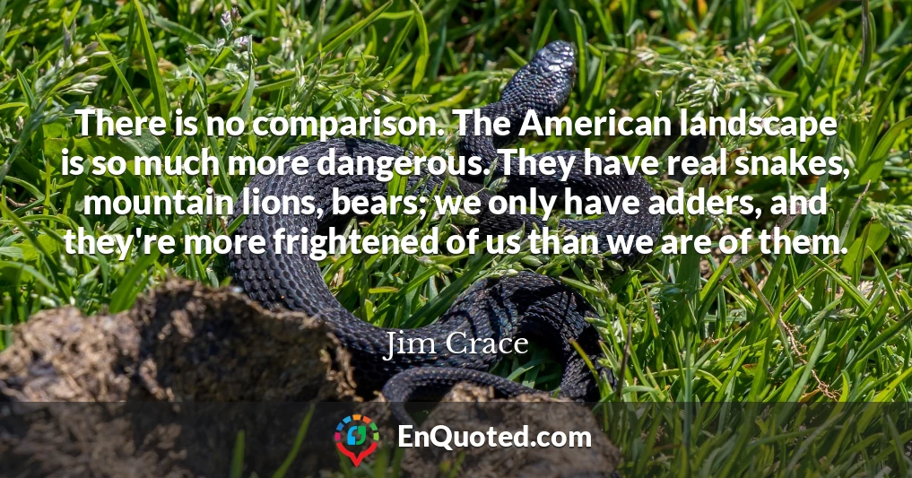 There is no comparison. The American landscape is so much more dangerous. They have real snakes, mountain lions, bears; we only have adders, and they're more frightened of us than we are of them.