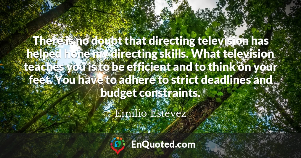 There is no doubt that directing television has helped hone my directing skills. What television teaches you is to be efficient and to think on your feet. You have to adhere to strict deadlines and budget constraints.