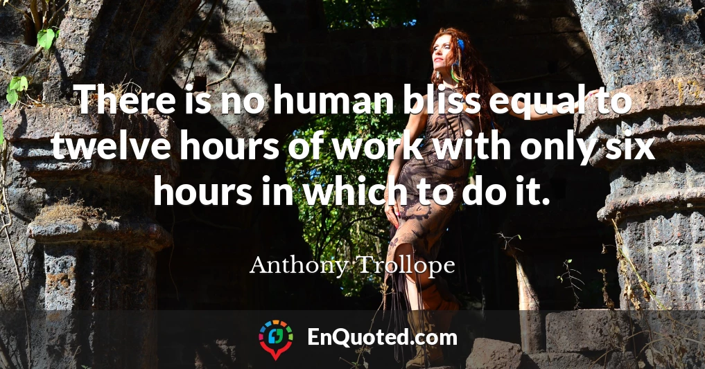 There is no human bliss equal to twelve hours of work with only six hours in which to do it.