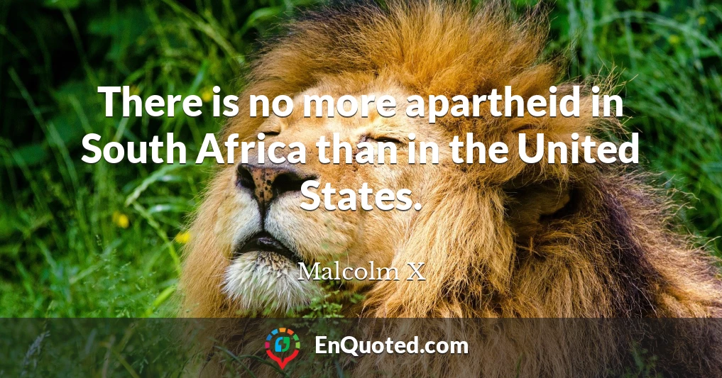 There is no more apartheid in South Africa than in the United States.