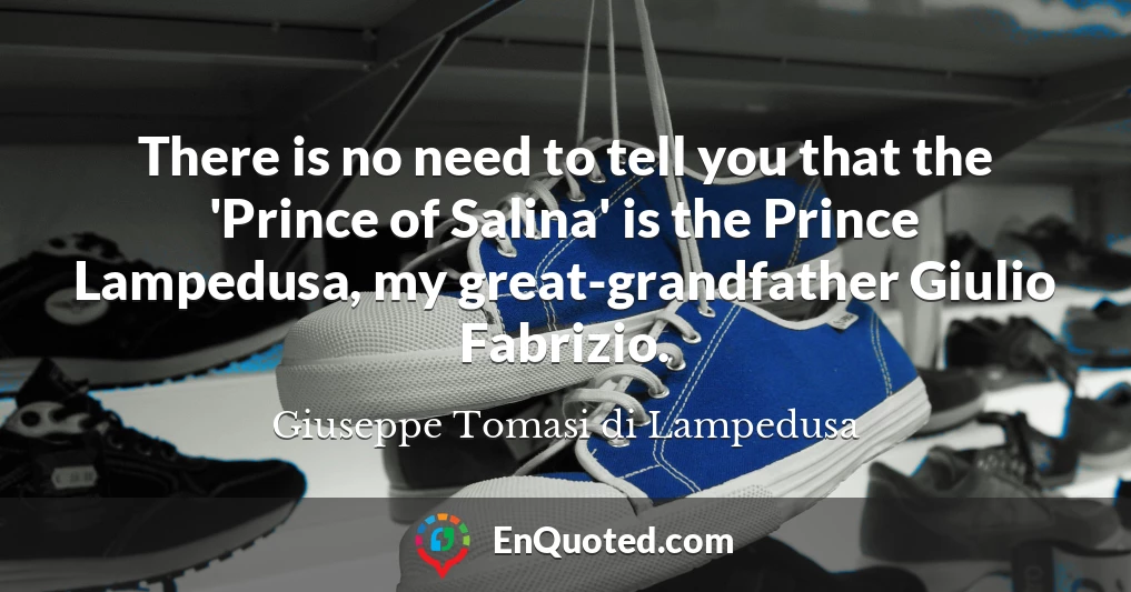 There is no need to tell you that the 'Prince of Salina' is the Prince Lampedusa, my great-grandfather Giulio Fabrizio.