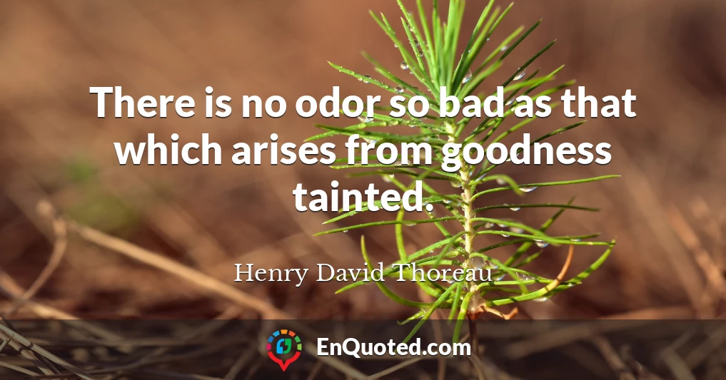 There is no odor so bad as that which arises from goodness tainted.