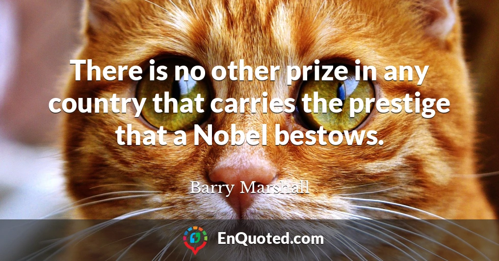 There is no other prize in any country that carries the prestige that a Nobel bestows.