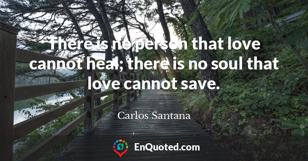 There is no person that love cannot heal; there is no soul that love cannot save.