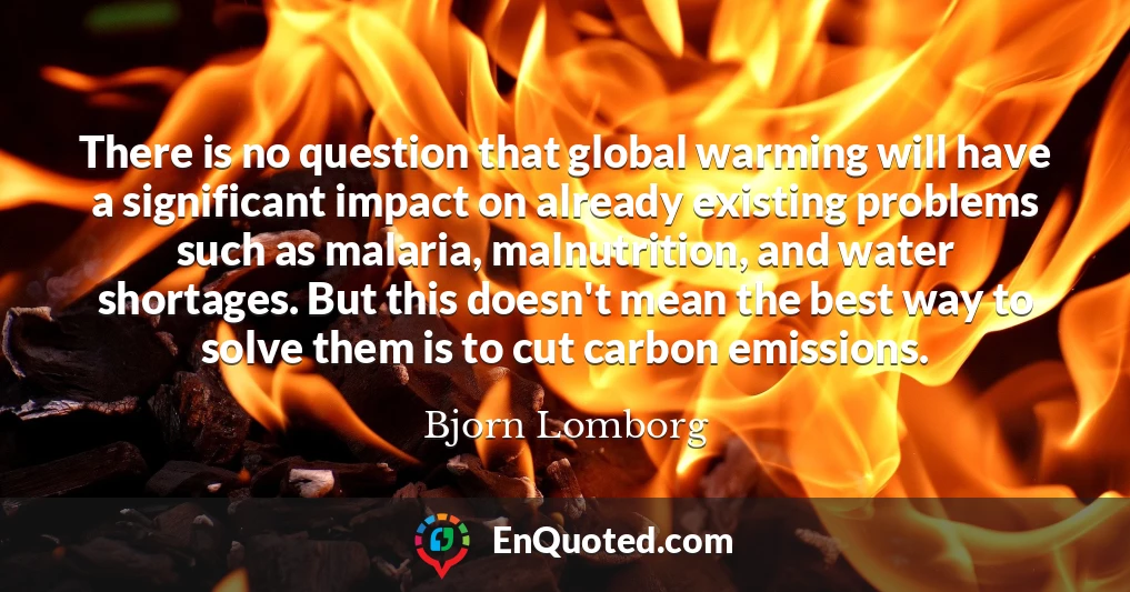 There is no question that global warming will have a significant impact on already existing problems such as malaria, malnutrition, and water shortages. But this doesn't mean the best way to solve them is to cut carbon emissions.